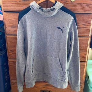 Gray Puma Hoodie